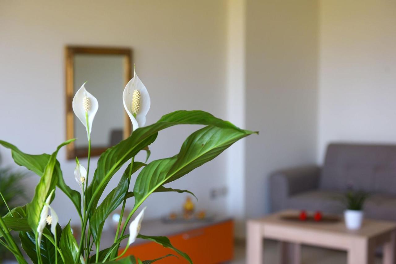 Stelia Luxury Apartments Kalavarda Экстерьер фото